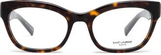 Sl 643 Havana Glasses