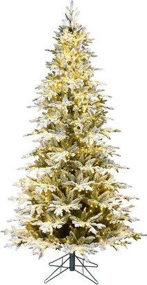 12' x 72 Flocked Kamas Fraser Artificial Christmas Tree