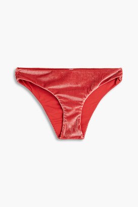 Daisy ribbed velvet low-rise bikini briefs