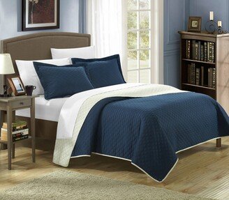 Teresa 3 Piece Queen Quilt Set