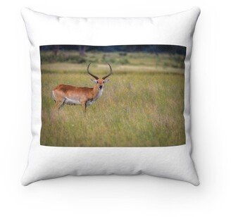 Lechwe Starring Pillow - Throw Custom Cover Gift Idea Room Decor