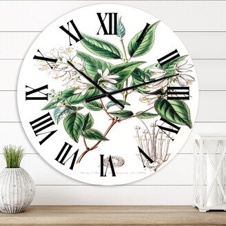 Designart 'Vintage Botanicals X' Traditional wall clock