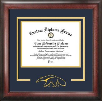 University of California, Irvine 11w x 8.5h Spirit Diploma Frame