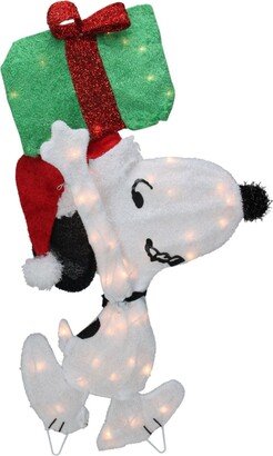 Northlight Pre-Lit Peanuts Snoopy with A Present Christmas Outdoor Decor