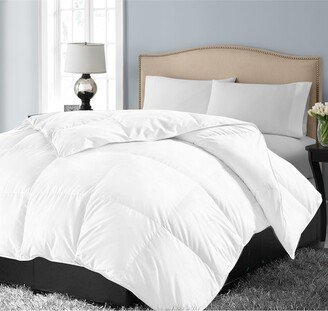 Siberian White Down 700 Thread Count Comforter, Full/Queen