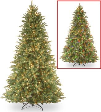 National Tree Company National Tree 7 .5'Feel Real Tiffany Fir Hinged Tree with 750 Dual Color Led Lights