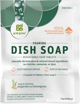 Grab Green Mindful Foaming Dish Soap Dissolvable Tablets, 1 Packet (Makes 16oz), Tangerine with Lemongrass Scent