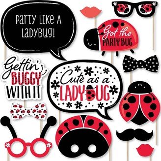 Big Dot of Happiness Happy Little Ladybug - Baby Shower or Birthday Party Photo Booth Props Kit - 20 Count