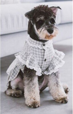 I Love Poochi Classical Fashion Plaid Dog Dress Collection