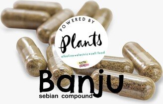 Brain Food Banju, Mind Power Nutrients, Higher Concentration, Alkaline Electric Cell, Non-Hybrid Herbs, Grown Wild, Sebian, Healthy Living