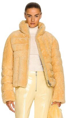 Short Teddy Shearling Jacket in Yellow