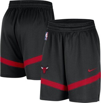 Men's Black Chicago Bulls On-Court Practice Warmup Performance Shorts