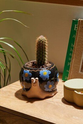 Snail Planter