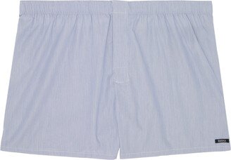 Blue Striped Boxers