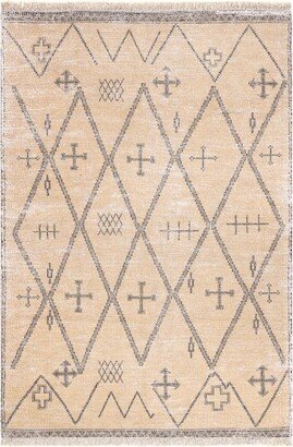 Chantal Bohemian Hand Woven Trellis Area Rug - Beige