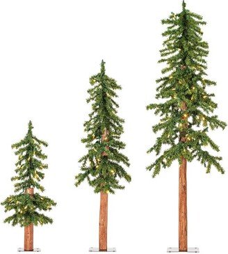 2' 3' 4' Natural Alpine Artificial Christmas Tree Set, Warm White LED Lights, Set of 3