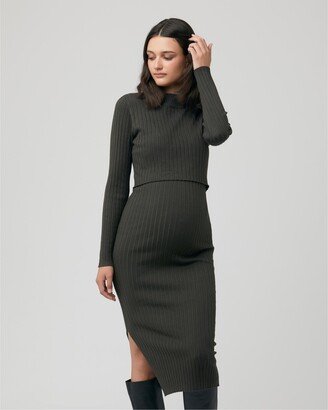 Maternity Nella Long Sleeve Rib Nursing Knit Dress Ivy