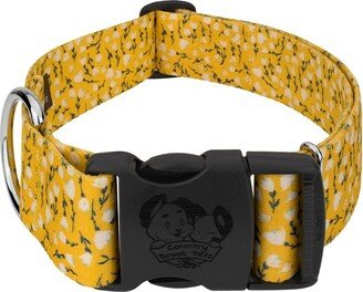 Country Brook Petz 1 1/2 Inch Deluxe Spring Cottagecore Dog Collar (Medium)