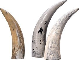 Varigated Decorative Horns, Set of 3