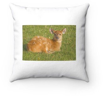 Sitatunga Pillow - Throw Custom Cover Gift Idea Room Decor