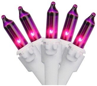 Northlight Set of 100 Purple-Pink Mini Christmas Lights 2.5 Spacing - White Wire