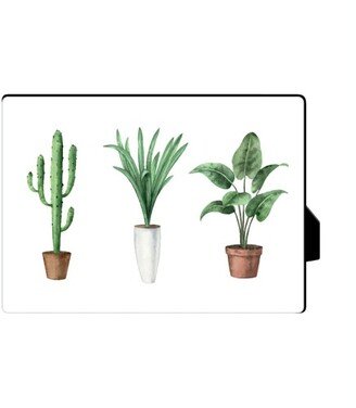 Desktop Plaques: Potted Plant Trio Desktop Plaque, Rectangle Ornament, 5X7, Multicolor