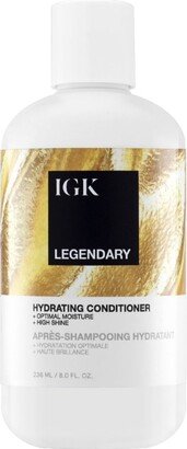 Igk Hair Legendary Dream Hair Conditioner, 8 oz.