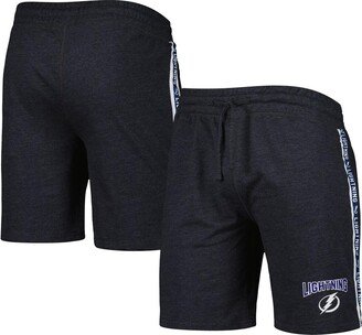 Men's Concepts Sport Charcoal Tampa Bay Lightning Team Stripe Shorts