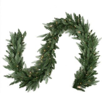 Northlight Pre-Lit Washington Frasier Fir Artificial Christmas Garland-Clear Lights