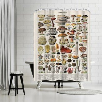 71 x 74 Shower Curtain, Champignons Vintage Art Print by Samantha Ranlet