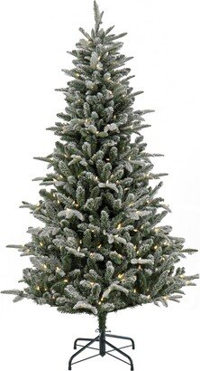 National Tree Company 6' Pre-Lit Snowy Libby Fir Tree with Led Lights