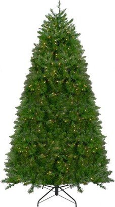 Northlight 12' Pre-lit Northern Pine Full Artificial Christmas Tree - Warm Clear LED Lights