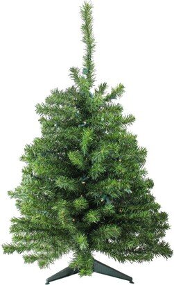 Northlight 3' Pre-Lit Led Canadian Pine Artificial Christmas Tree - Clear Lights