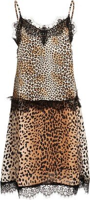 Leopard Printed Lace Slip