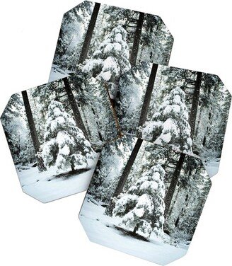 Bree Madden Winter Snow Set of 4 Coasters