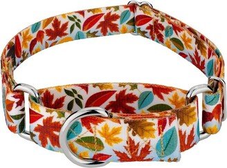 Country Brook Petz Brisk Autumn Martingale Dog Collar (1 Inch, Extra Large)