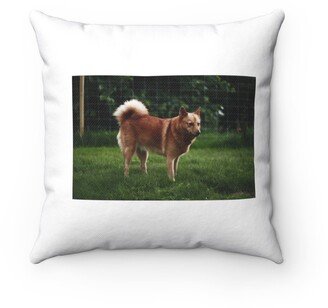 Finnish Spitz Pillow - Throw Custom Cover Gift Idea Room Decor