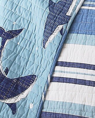 Sammy Shark Full/Queen Quilt Set