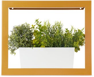 Yellow Smart Growframe Planter