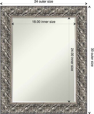 Petite Bevel Wood Wall Mirror - Silver Luxor Frame - Silver Luxor - 24 x 30 in