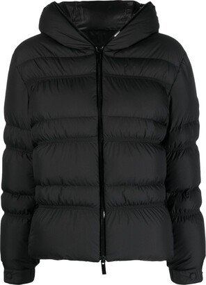 Hooded Zipped Puffer Jacket