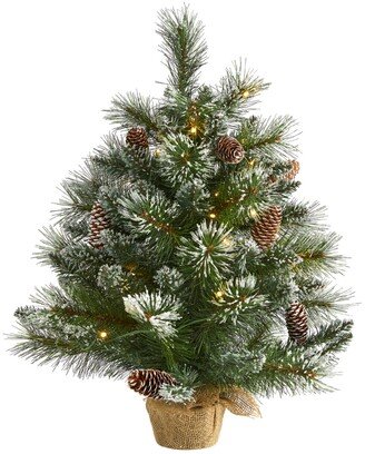 Frosted Pine Artificial Christmas Tree with 35 Clear Led Lights, Pinecones and Burlap Base