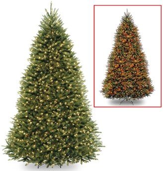 National Tree Company National Tree 9' Dunhill Fir Hinged Tree with 900 Low Voltage Dual Led Lights with 9 Function Footswitch