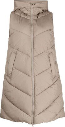 Padded Hooded Gilet-AD