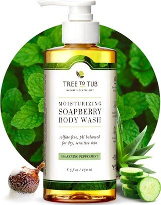 Tree To Tub Aloe & Soapberry Moisturizing Body Wash for Sensitive Skin