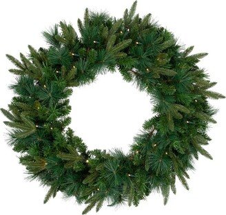 Northlight Pre-Lit Green Mixed Rosemary Emerald Angel Pine Artificial Christmas Wreath - 30-Inch, Clear Lights