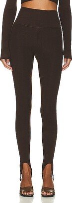 Helsa Tannis Stirrup Legging in Chocolate