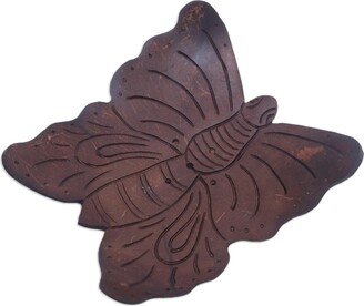 Handmade Butterfly Touchdown Coconut Shell Soap Dish - Brown