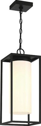 Ren Outdoor Pendant Light