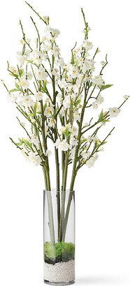 White Peach Blossom Branches in Glass Vase